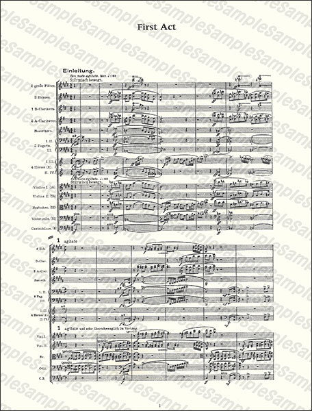 DOVER:リヒャルト・シュトラウス/バラの騎士/【647670】/06-254984