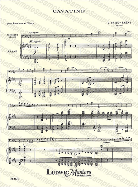 Masters Music:サン=サーンス/カヴァティーナ 作品144/【1086025