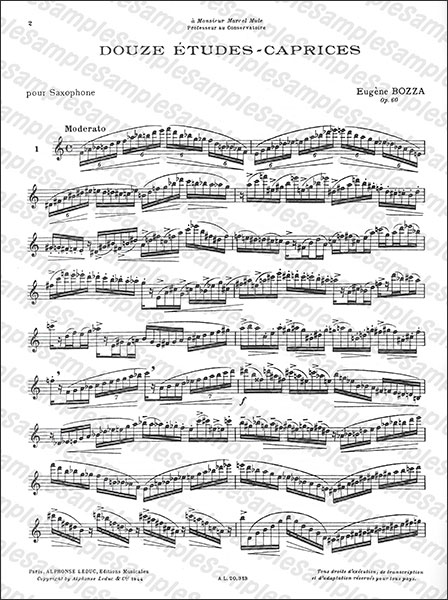 Alphonse Leduc:ボザ/12の練習奇想曲/【1030785】/AL20313 Alphonse Leduc:ボザ/12の練習奇想曲/【1030785】/AL20313