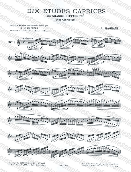 新作グッ Alphonse Leduc:マニャーニ/上級者のための10のエチュード 楽器別